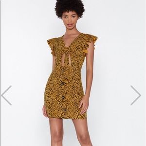 “You’ve Dot to be Kitten Me” dress